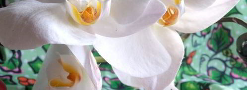 канапе из баклажанов. Шаг 20