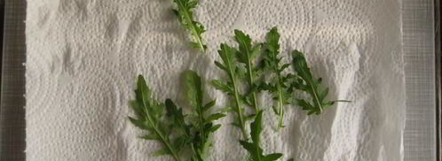 канапе с подкопченной неркой и творожным сыром. Шаг 3