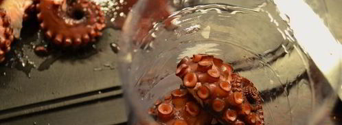 карпаччо из осьминога. Шаг 6