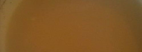 холодец из головы сома. Шаг 5