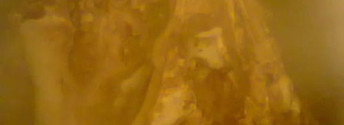 холодец из свинины. Шаг 3