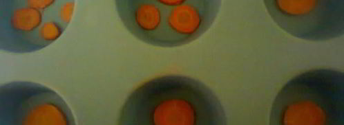 холодец из свинины. Шаг 11