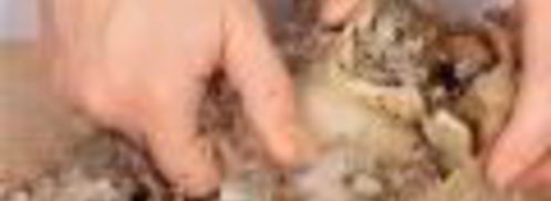 холодец с кровавой мэри. Шаг 3