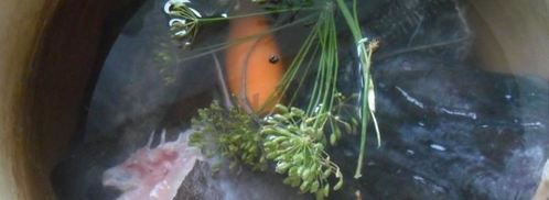 студень холодец из рыбы. Шаг 3