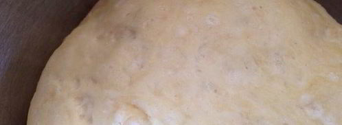 хот-дог такса. Шаг 5