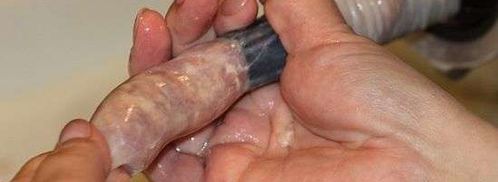 колбаса домашняя. Шаг 50