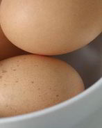 Омлет с орегано в мультиварке