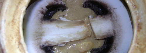 паштет фуа-гра. Шаг 10