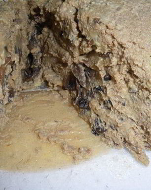 Паштет печеночный с шампанским