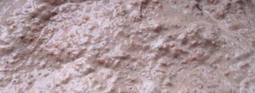 паштет пустыня сахара. Шаг 8