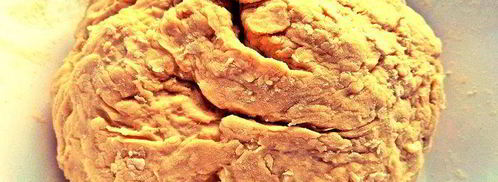 печеночный паштет в песочном тесте. Шаг 5