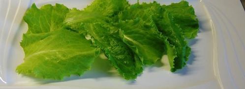 рулеты из индейки с персиками и мятным песто. Шаг 18