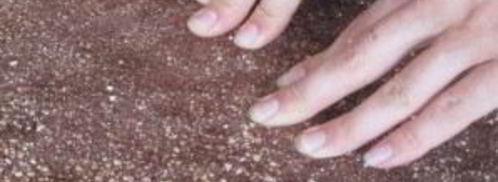 шоколадный рулет с грецкими орехами. Шаг 4