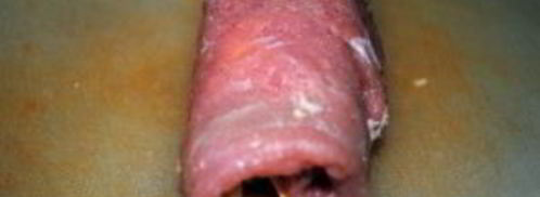 свиные рулетики с грибами и сыром. Шаг 9