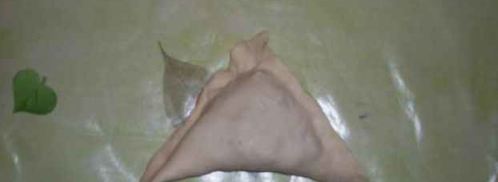 самса. Шаг 24