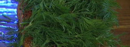 семга, маринованная в джине с можжевельником. Шаг 3