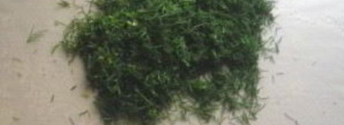 шаурма в лаваше с курицей. Шаг 5