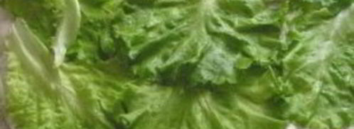 шаурма в лаваше с курицей. Шаг 8