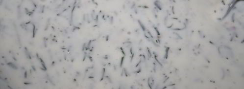 бородинские сухарики со сметанно-кефирным соусом с чесноком. Шаг 3