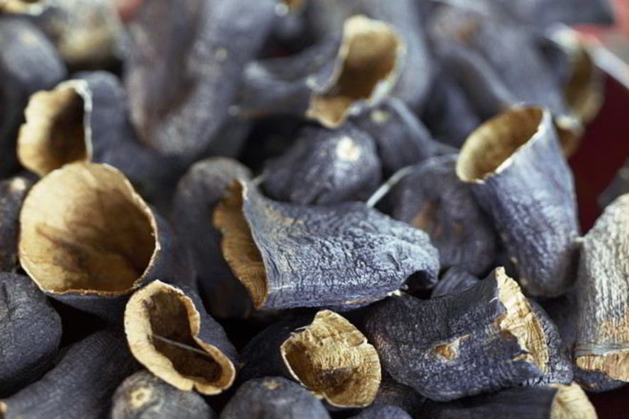 Рецепт сушеных баклажанов в электросушилке