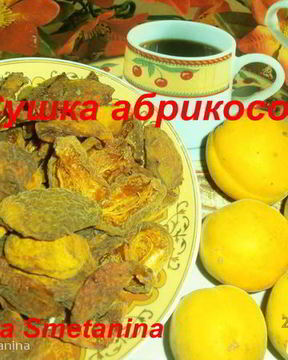 Сушка абрикосов в электросушилке