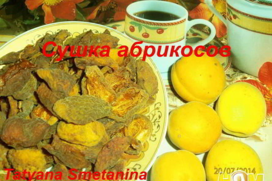 Рецепт сушки абрикосов в электросушилке