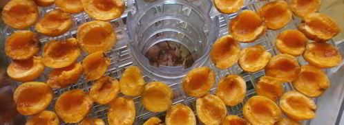 сушка абрикосов в электросушилке. Шаг 3