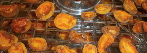 сушка абрикосов в электросушилке. Шаг 5