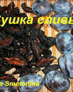 Сушка слив в электросушилке