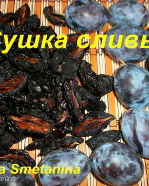 Сушка слив в электросушилке