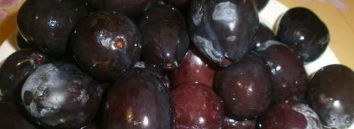 сушка слив в электросушилке. Шаг 3