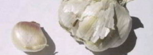 румяный сэндвич с помидором. Шаг 4