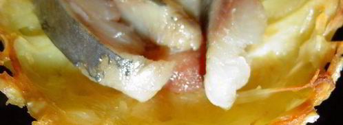 тарталетки картофельные с селедкой и икрой. Шаг 6