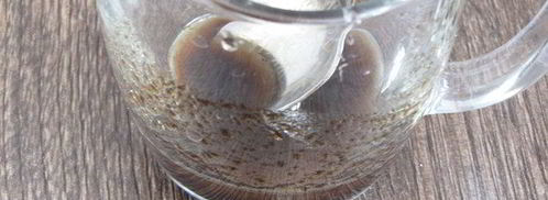 тарталетки с красным луком и сырным соусом. Шаг 9