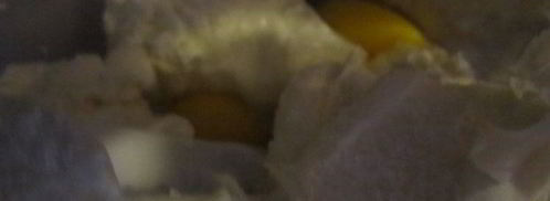 тарт с карамелизированными фруктами и творожным пудингом. Шаг 13