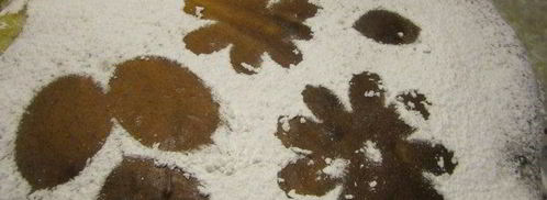 тарт с карамелизированными фруктами и творожным пудингом. Шаг 6