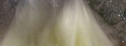 тарт с манго. Шаг 15