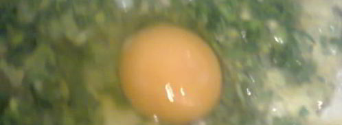 глазунья с эстрагоном. Шаг 6