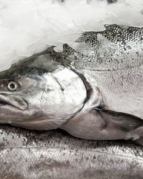 Заливное из судака