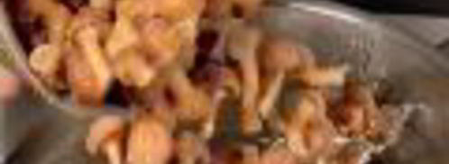 заливное из свиного языка с опятами. Шаг 3