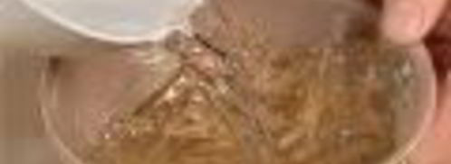 заливное из свиного языка с опятами. Шаг 4